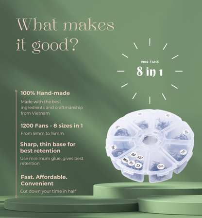 1200 Éventails - 8 tailles 1 en boîte - 8D - Boucle D - 9-10-11-12-13-14-15-16mm