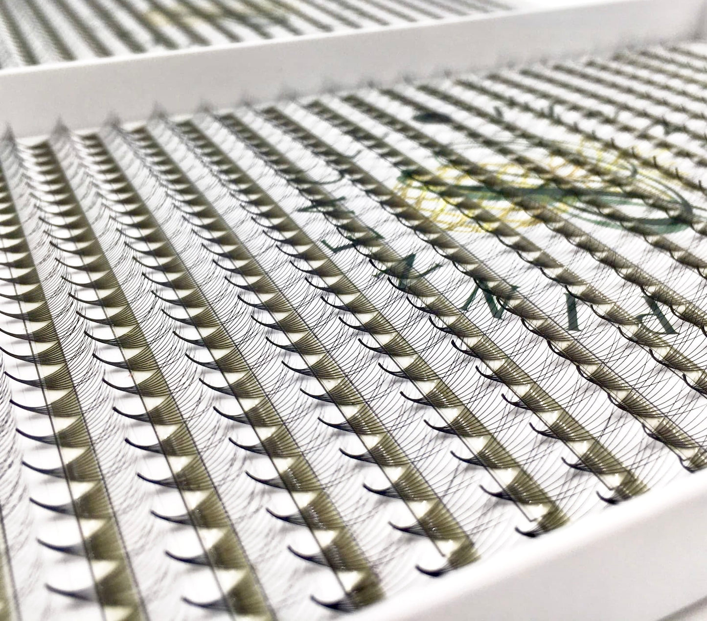 10D Promade Fans - XXL Box | Volume 1200 Fans | Premade volume fans for professional eyelash extension