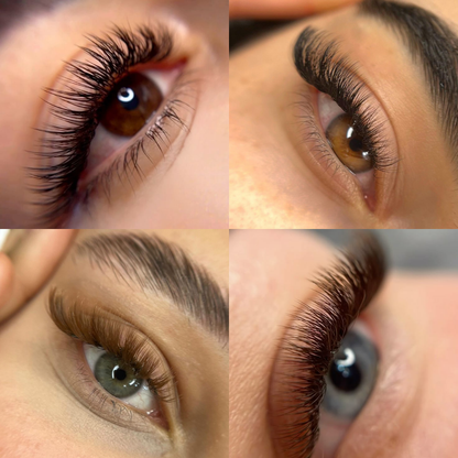 9D Volume - 1000 Fans Promade Volume Fans For Professional Eyelash Extension - Pinneacle Lash