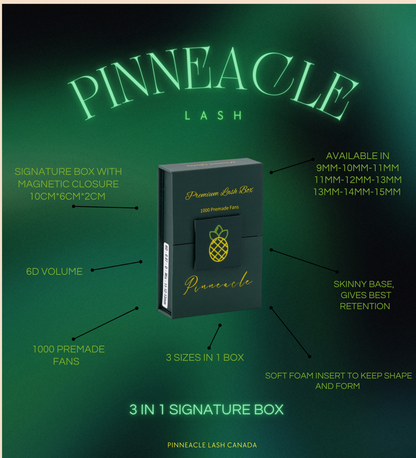 1000 Éventails - 3 tailles dans 1 boîte - 0,07 - Volume 6D - Boucle D (13-14-15mm)