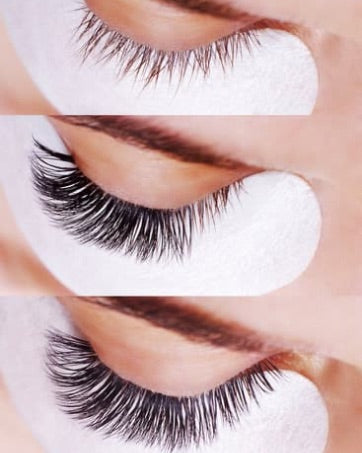 XXL Box 1200 Fans | 6D volume | 40 Lines| 8 sizes in 1 |  Premade Volume Fans