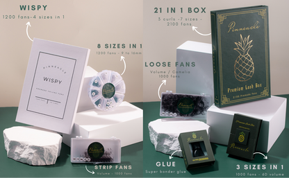 12D Volume | 1200 Premade Volume Fans - 8 sizes in 1 box | Lengths : 9-16mm | Round Box