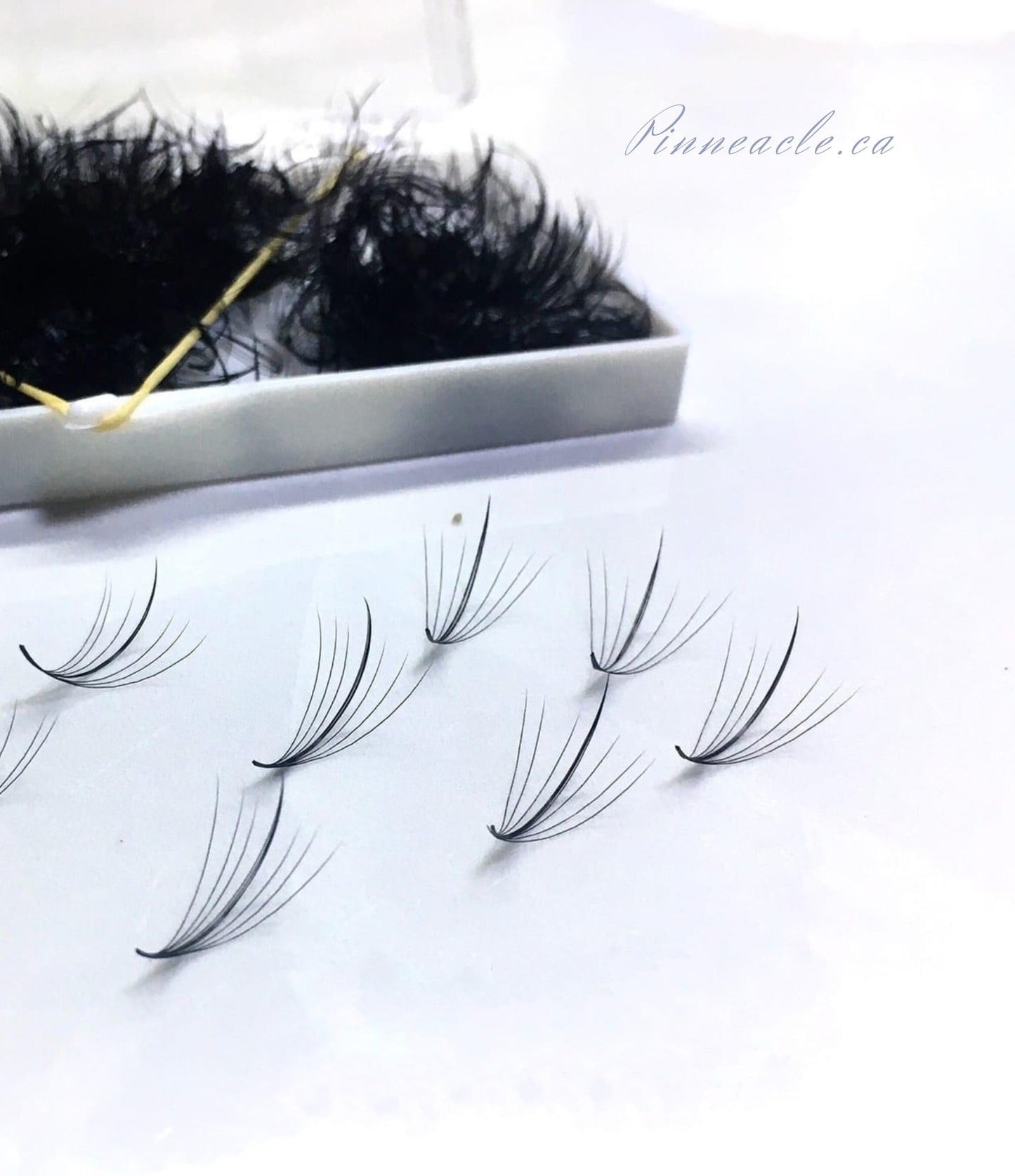 Vaporeux 500 ventilateurs | Volumes 7D | Boucle C | 17 mm (pointe 19 mm)