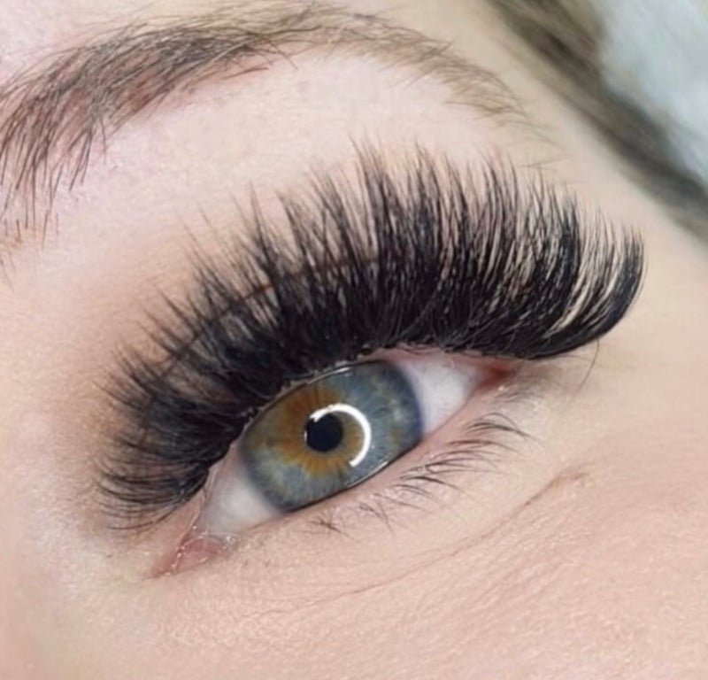 1200 Éventails - 8 tailles dans 1 boîte - 10D - Boucle D - 9-10-11-12-13-14-15-16mm