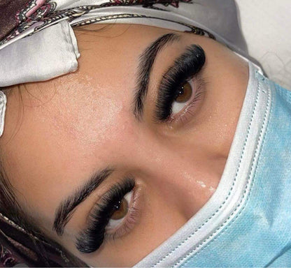 1200 Éventails - 8 tailles 1 en boîte - 6D - Boucle C (9-10-11-12-13-14-15-16mm)