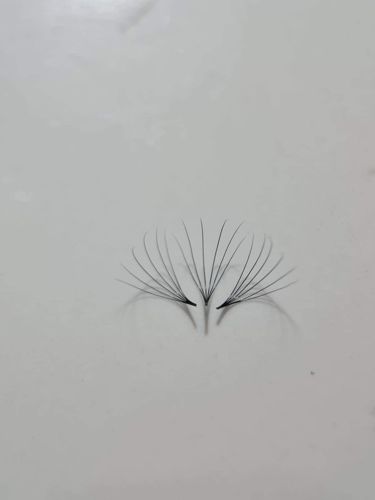 Pack of 3 - Save 25% - 7D Volume - 1200 Premade Volume Fans - 8 sizes 1 in box | Lengths: 10-17mm | Round Box