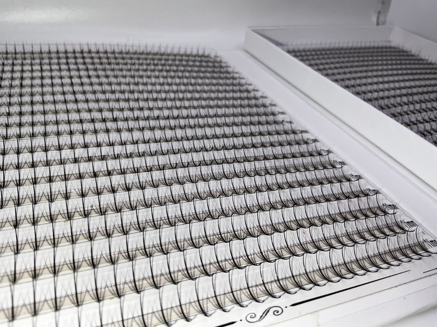 XXL Box | Wispy 1200 Fans | 9D volume | 40 Lines| 4 sizes in 1 | Wispy Premade Volume Fans