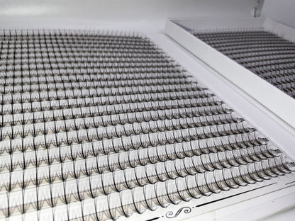 XXL Box | Wispy 1200 Fans | 9D volume | 40 Lines| 4 sizes in 1 | Wispy Premade Volume Fans