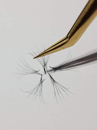 1000 Éventails - 3 tailles dans 1 boîte - 0,07 - Volume 6D - Boucle D (13-14-15mm)