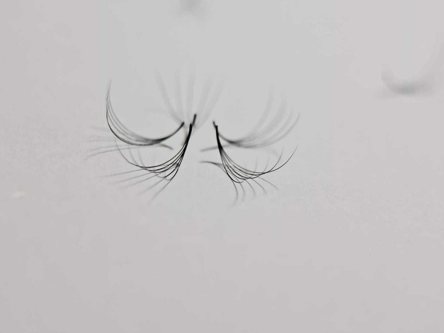 Pack of 3 - Save 25% - 7D Volume - 1200 Premade Volume Fans - 8 sizes 1 in box | Lengths: 10-17mm | Round Box