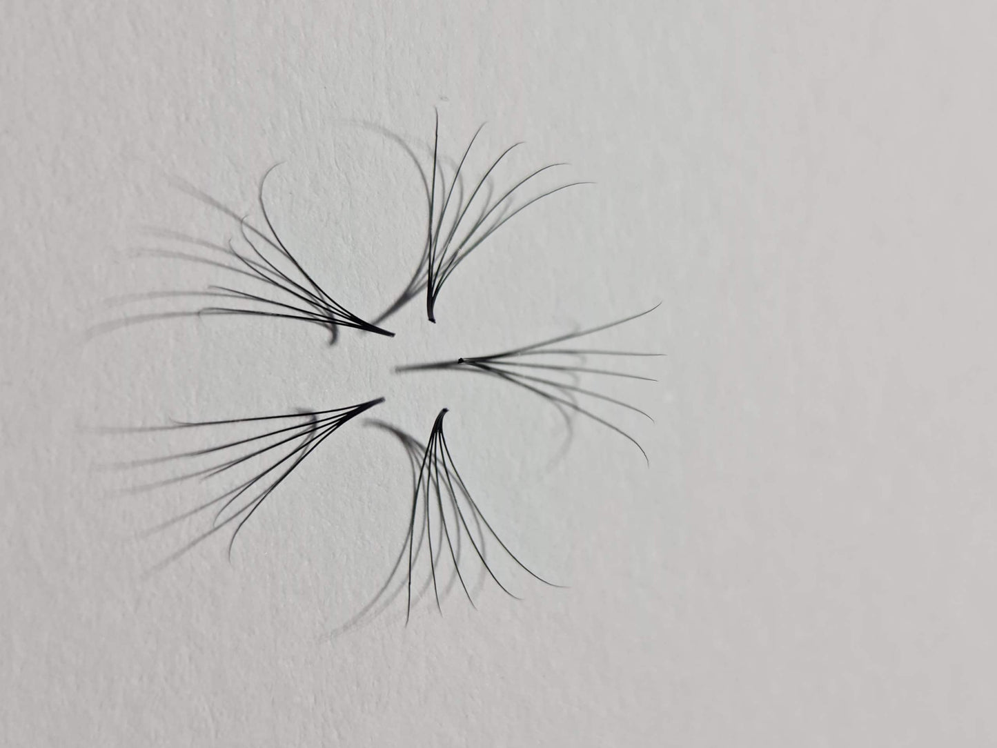 1200 Éventails - 8 tailles 1 en boîte - 6D - Boucle C (9-10-11-12-13-14-15-16mm)