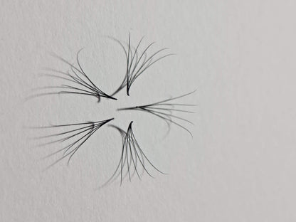 1200 Éventails - 8 tailles 1 en boîte - 6D - Boucle C (9-10-11-12-13-14-15-16mm)