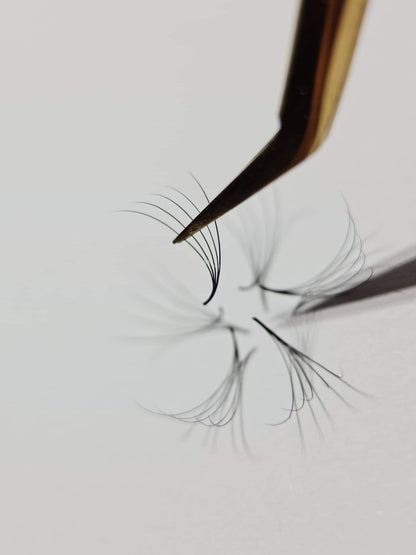 1000 Éventails - 3 tailles dans 1 boîte - 0,07 - Volume 6D - Boucle D (13-14-15mm)