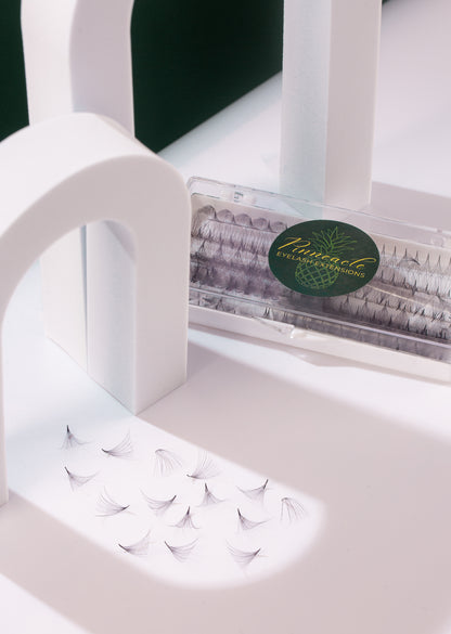 Pack of 3 - 20D Volume - 1000 Fans Promade Volume Fans For Professional Eyelash Extension - Pinneacle Lash