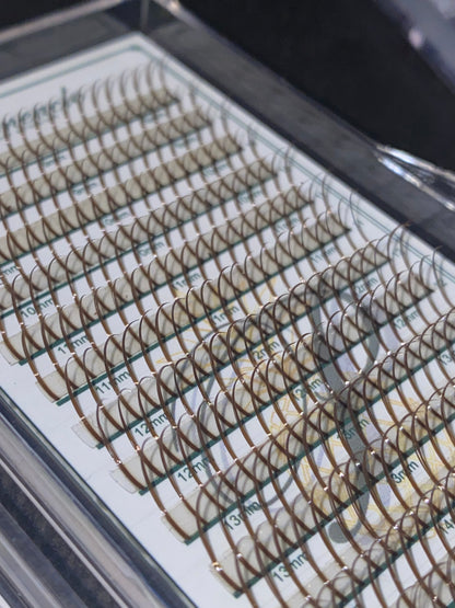 Premade Wet Spike - 5D Closed Tip Spike For Professional Eyelash Extensions (Mix Brown & Black)