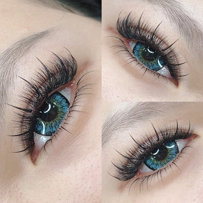 Wispy 500 Fans | 7D volume | C curl | 16mm (spike 18mm)