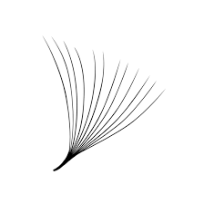 12D Volume | 1200 Premade Volume Fans - 8 sizes in 1 box | Lengths : 9-16mm | Round Box