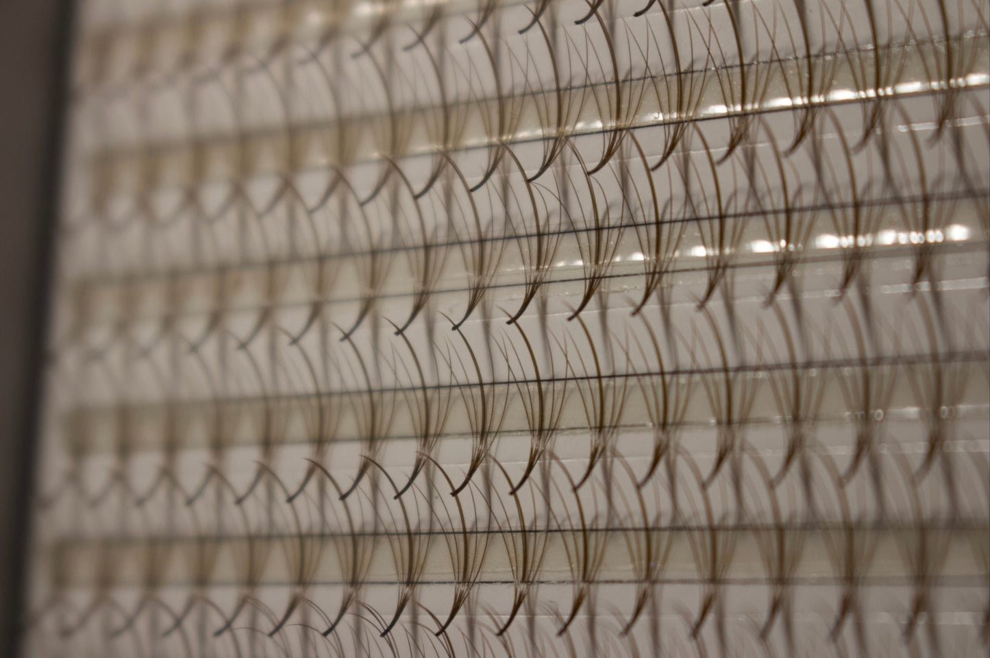 Brown Promade Wispy 1200 Fans - 5D Volume - Mixed Lengths & Curls | 40 Lines | 5 sizes in 1 | Premade Volume Fans Eyelash Extensions