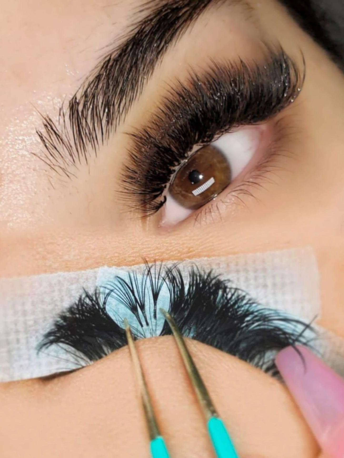 10D Promade Fans - XXL Box | Volume 1200 Fans | Premade volume fans for professional eyelash extension