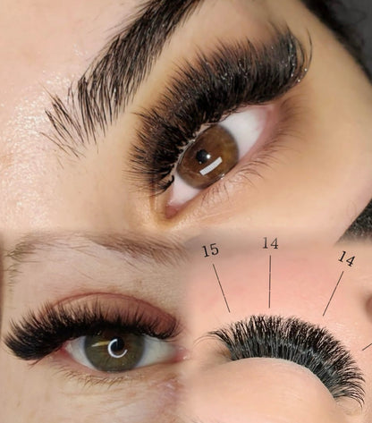 Pack of 3 - 12D Volume - 500 Fans Promade Volume Fans For Professional Eyelash Extension - Pinneacle Lash