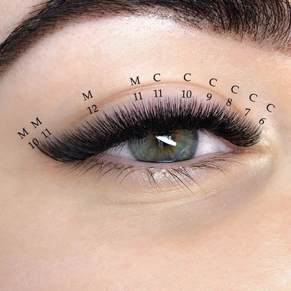 XXL Box 1200 Fans | 6D volume | 40 Lines| 8 sizes in 1 |  Premade Volume Fans