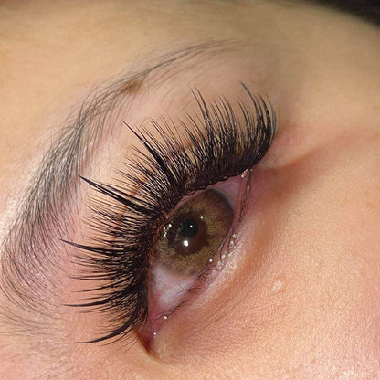 Wispy 500 Fans - Pack of 10 - 9D volume