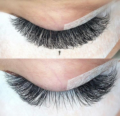 1200 Éventails - 8 tailles 1 en boîte - 6D - Boucle C (9-10-11-12-13-14-15-16mm)