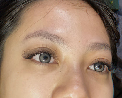 XXL Box 1200 Fans | 6D volume | 40 Lines| 8 sizes in 1 |  Premade Volume Fans