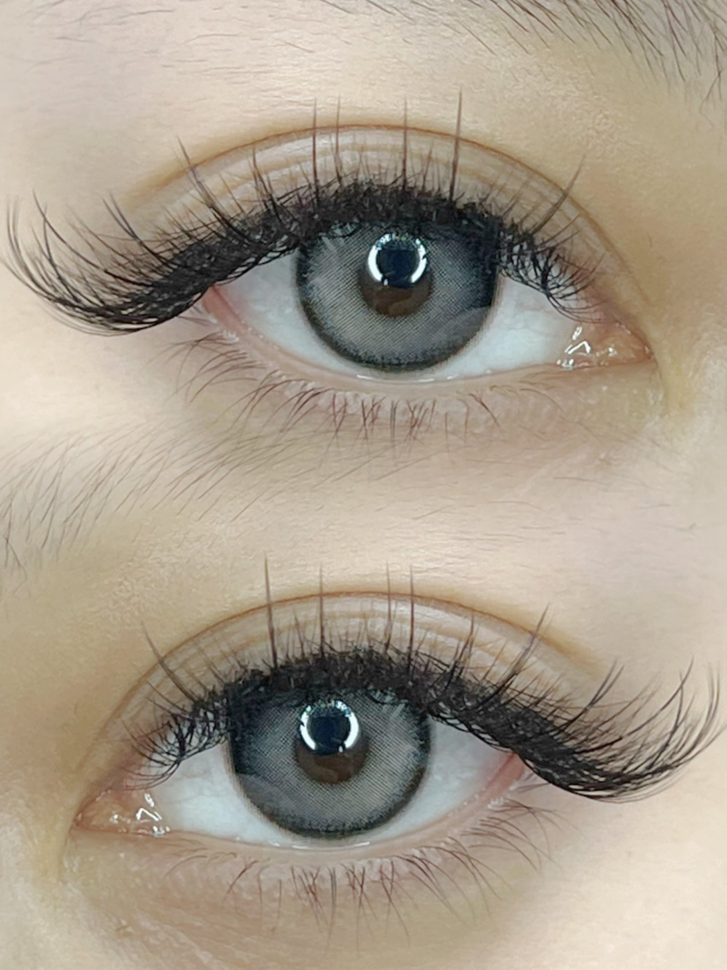 XXL Box | 1800 Fans | Nano Fans | 5D volume | 40 Lines| 8 sizes in 1 |  Premade Volume Fans