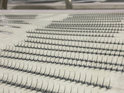 Wispy 500 Fans | 7D volume | C curl | 16mm (spike 18mm)