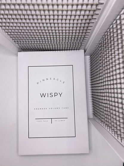 XXL Box | Wispy 1200 Fans | 9D volume | 40 Lines| 4 sizes in 1 | Wispy Premade Volume Fans