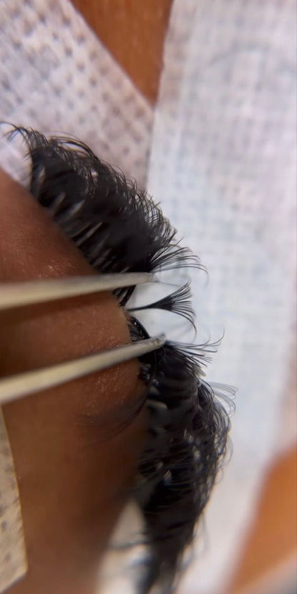 18D Promade Volume 1200 Fans | Premium Handmade volume fans for professional eyelash extension