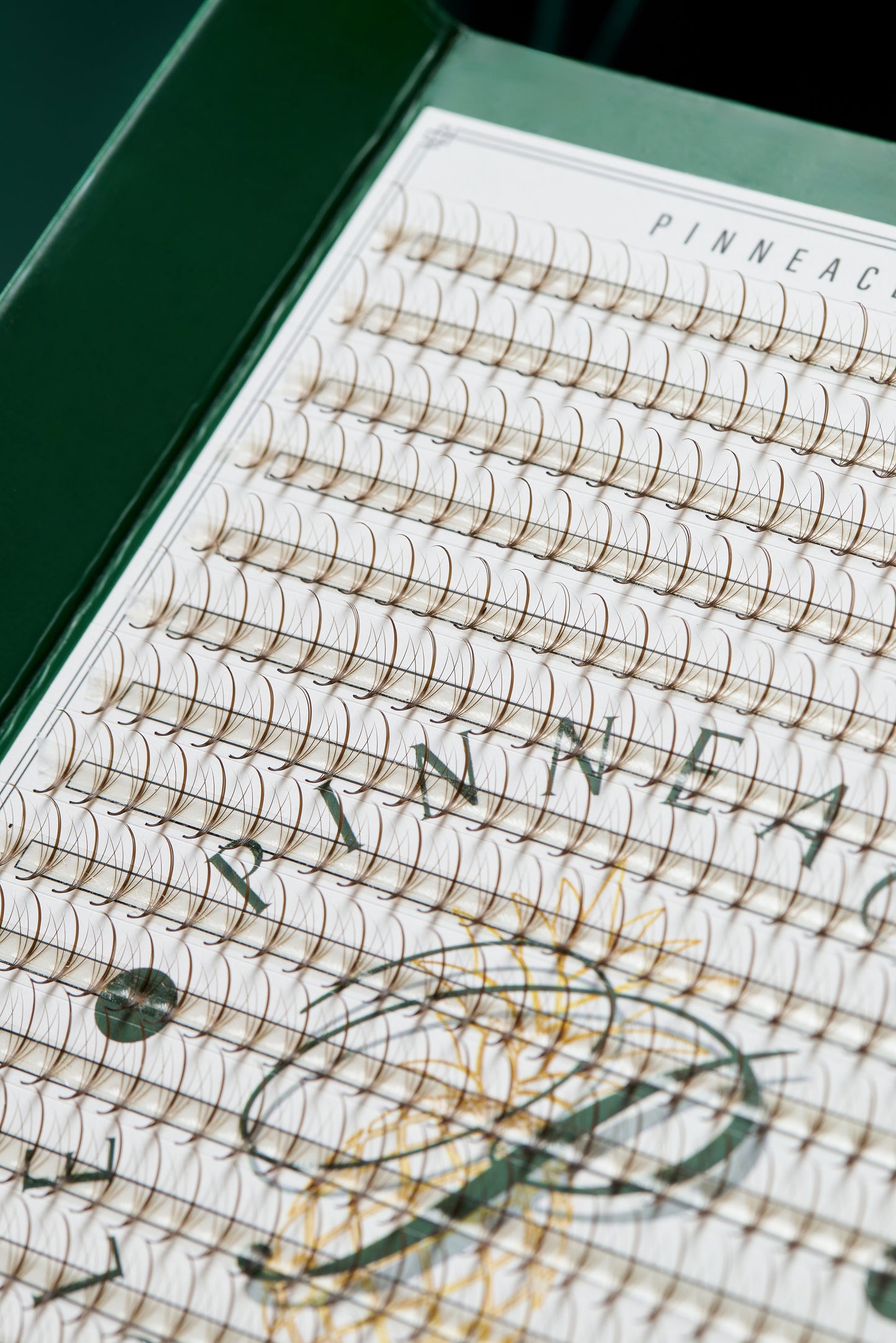 Mi0107.jpg__PID:686d29b0-b0f1-4949-9cbf-e846e5f7f070