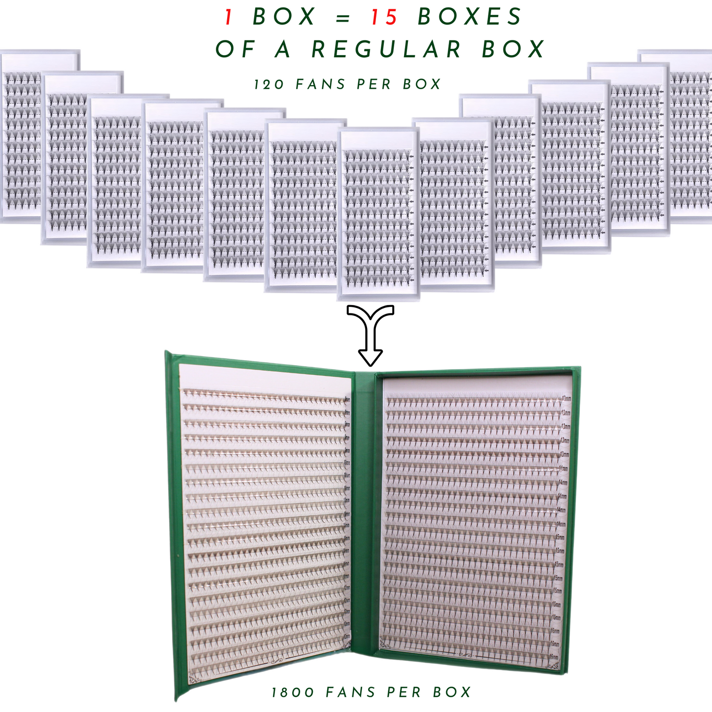 XXL Box | 1800 Fans | Nano Fans | 5D volume | 40 Lines| 8 sizes in 1 |  Premade Volume Fans