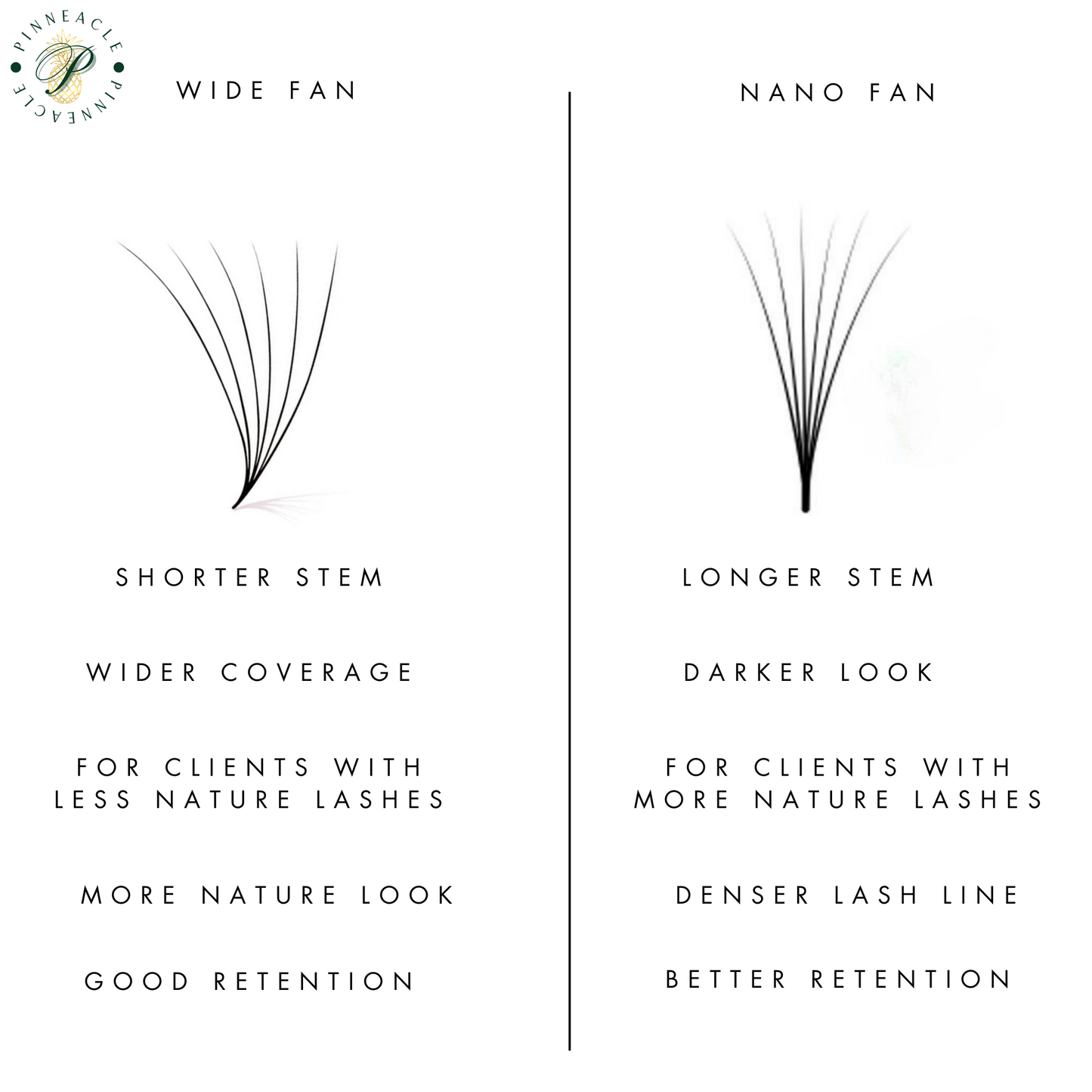 XXL Box | 1800 Fans | Nano Fans | 5D volume | 40 Lines| 8 sizes in 1 |  Premade Volume Fans