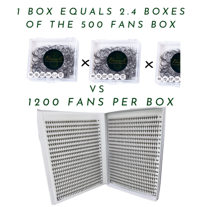 10D Promade Fans - XXL Box | Volume 1200 Fans | Premade volume fans for professional eyelash extension