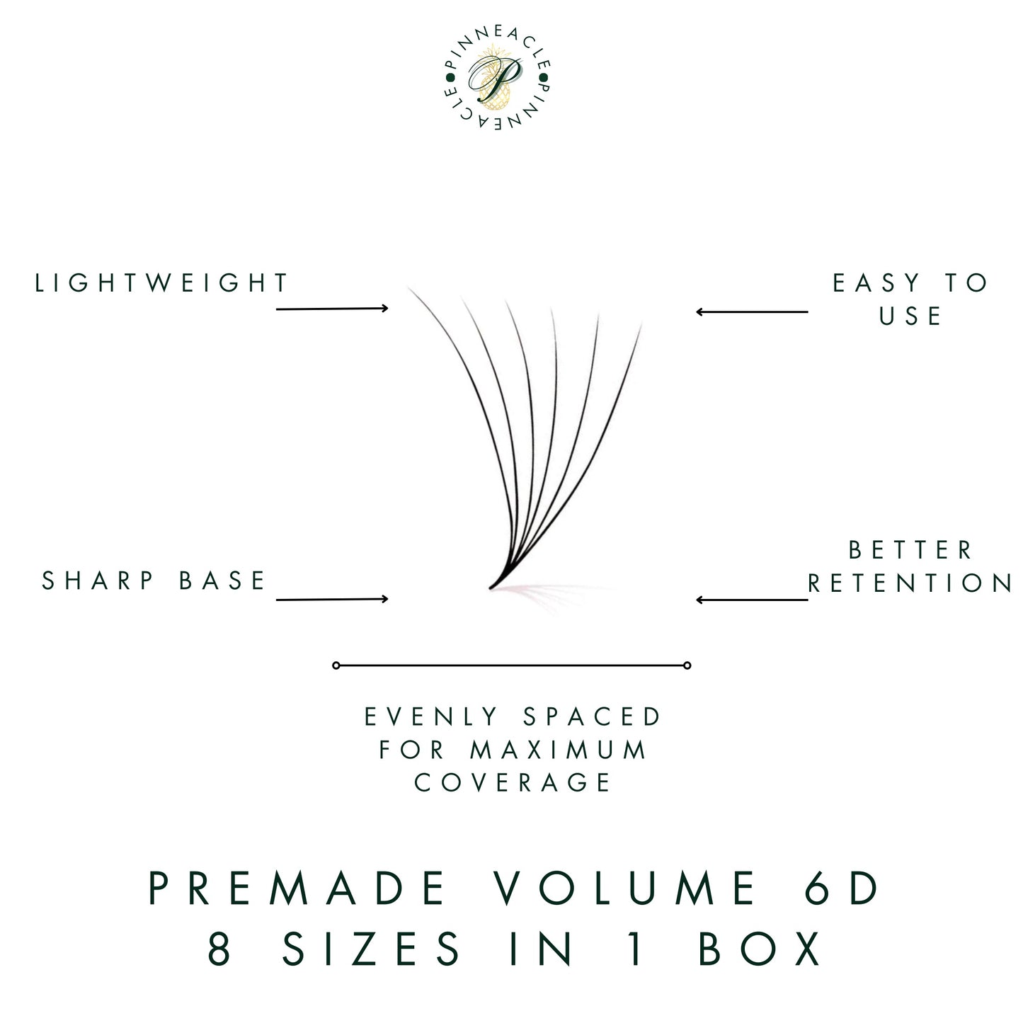 1 + 1  Deal | XXL Box | Volume + Wispy 1200 Fans | 5D & 6D volume | 8 sizes in 1 |  Premade Volume Fans