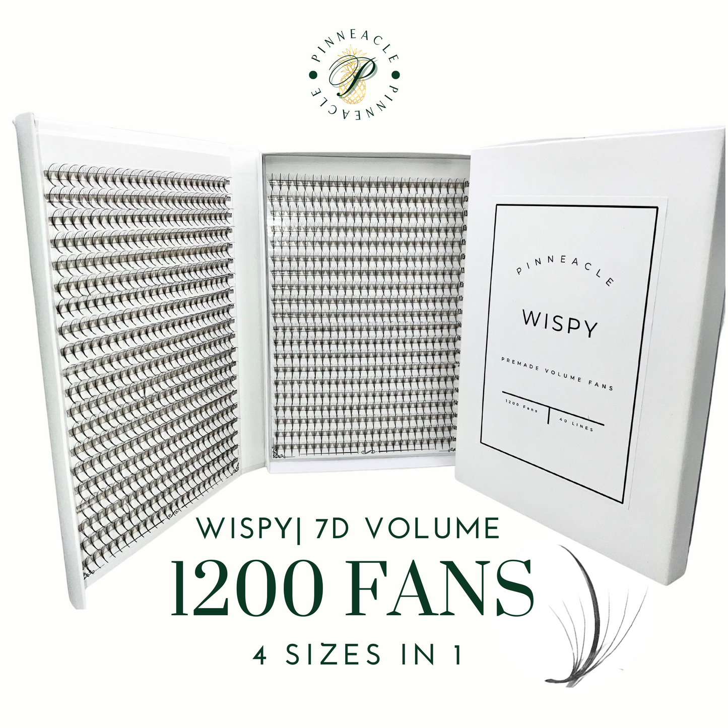 XXL Box | Wispy 1200 Fans | 7D volume | 40 Lines| 4 sizes in 1 | Wispy Premade Volume Fans