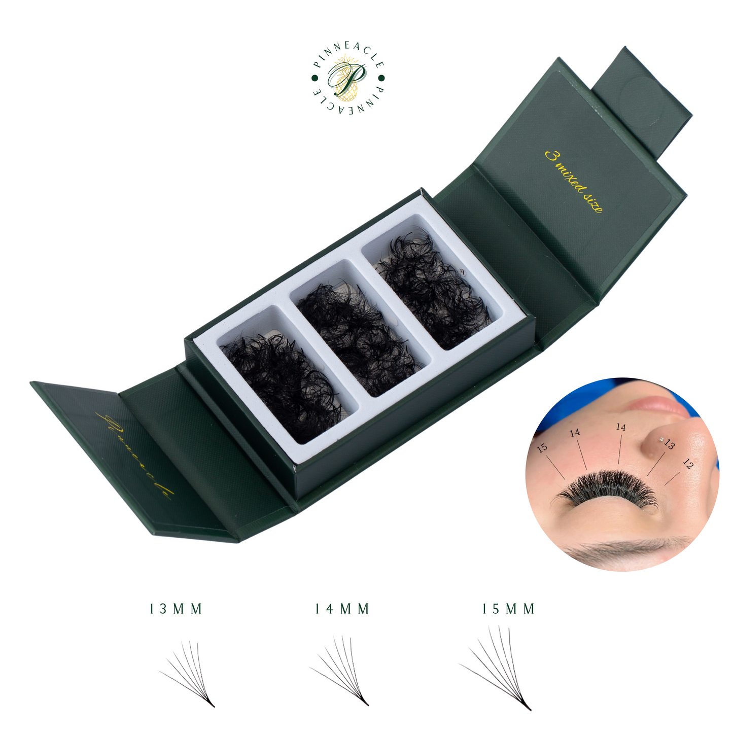 1000 Éventails - 3 tailles dans 1 boîte - 0,07 - Volume 6D - Boucle D (13-14-15mm)