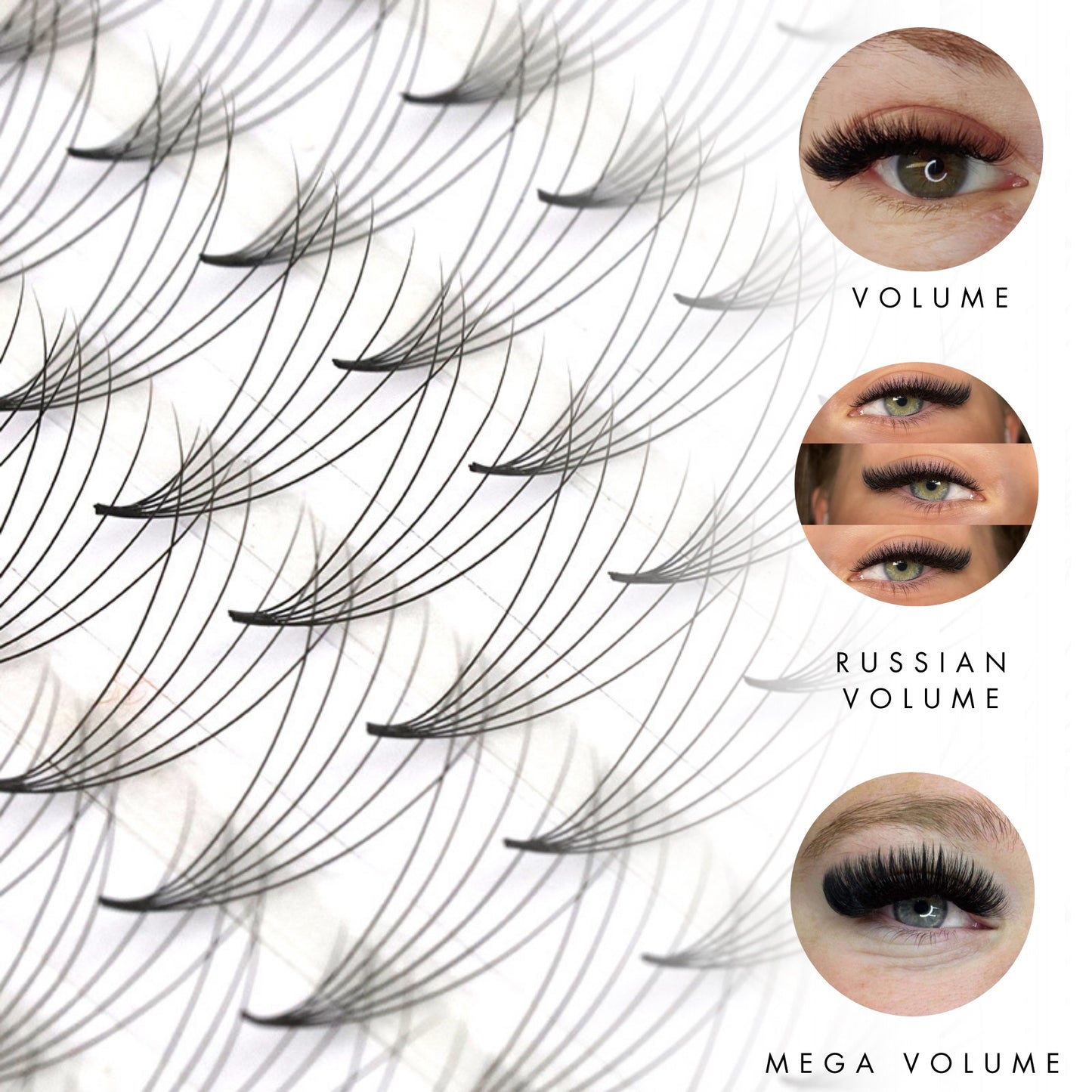 XXL Box 1200 Fans | 6D volume | 40 Lines| 8 sizes in 1 |  Premade Volume Fans