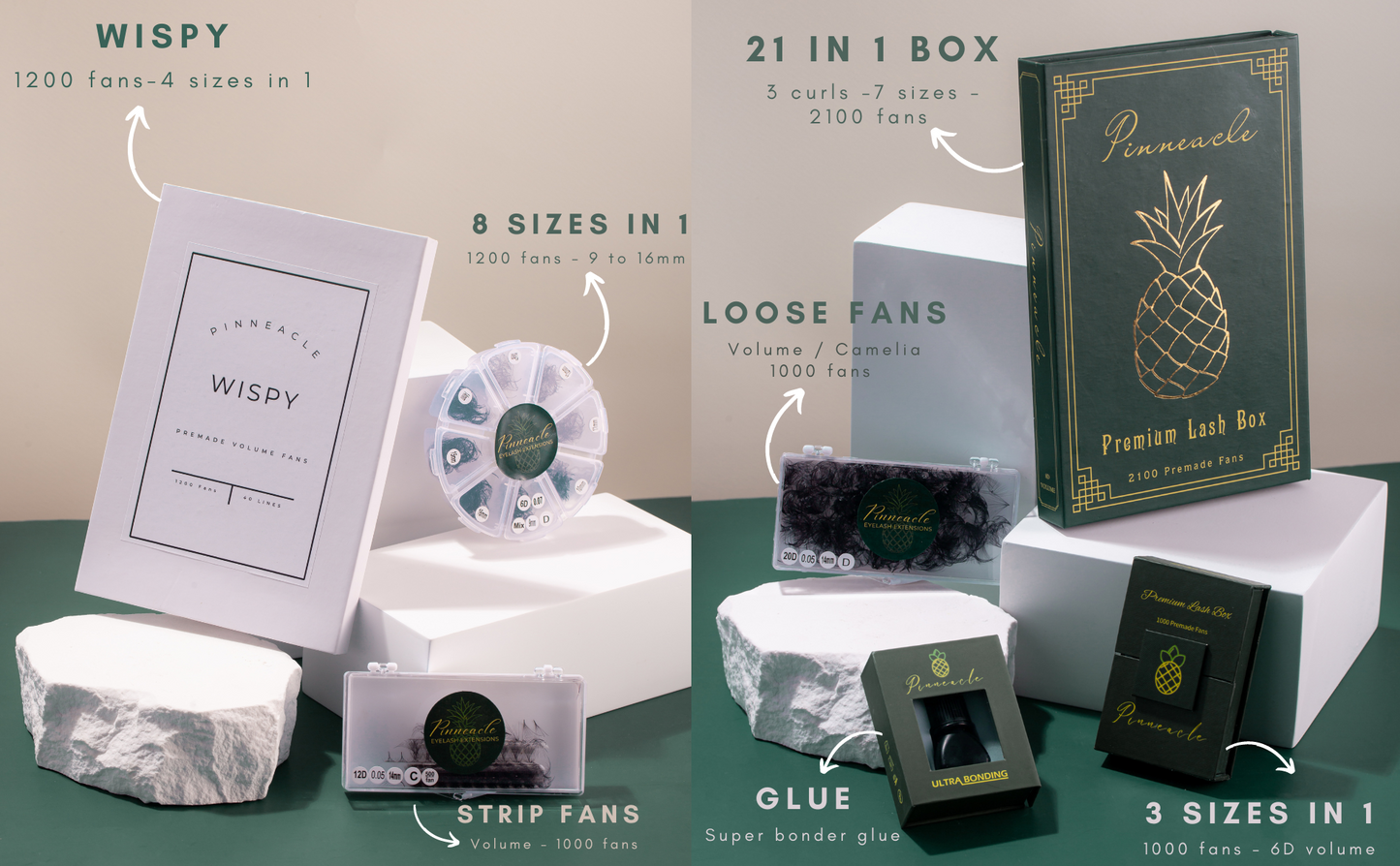 1200 Éventails - 8 tailles 1 en boîte - 8D - Boucle D - 9-10-11-12-13-14-15-16mm