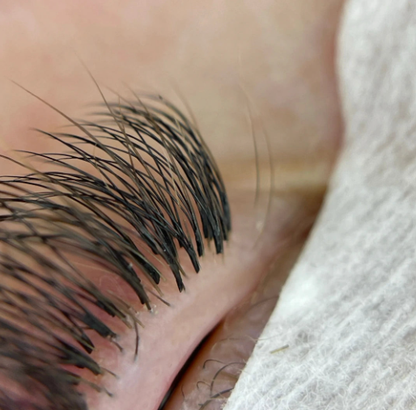 Pack of 5 - Double Layer Promade 10D 500 Fans - For Professional Eyelash Extension - Pinneacle Lash