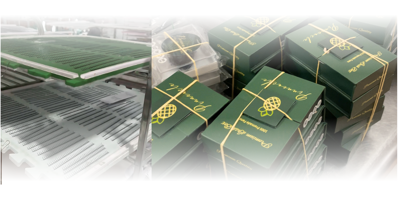 ảnh.png__PID:0d709b25-a0bb-449d-94b9-3b06010baa8a