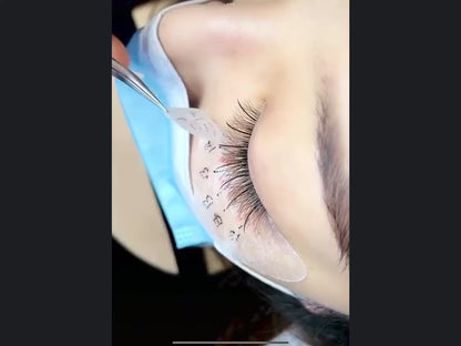 XXL Box | Wispy 1200 Fans | 9D volume | 40 Lines| 4 sizes in 1 | Wispy Premade Volume Fans