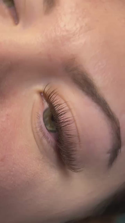 Wispy Volume Promade Fans For Eyelash Extensions - 480 Premade Fans - 32 Lines - Choose from C,CC,D, M & L curl